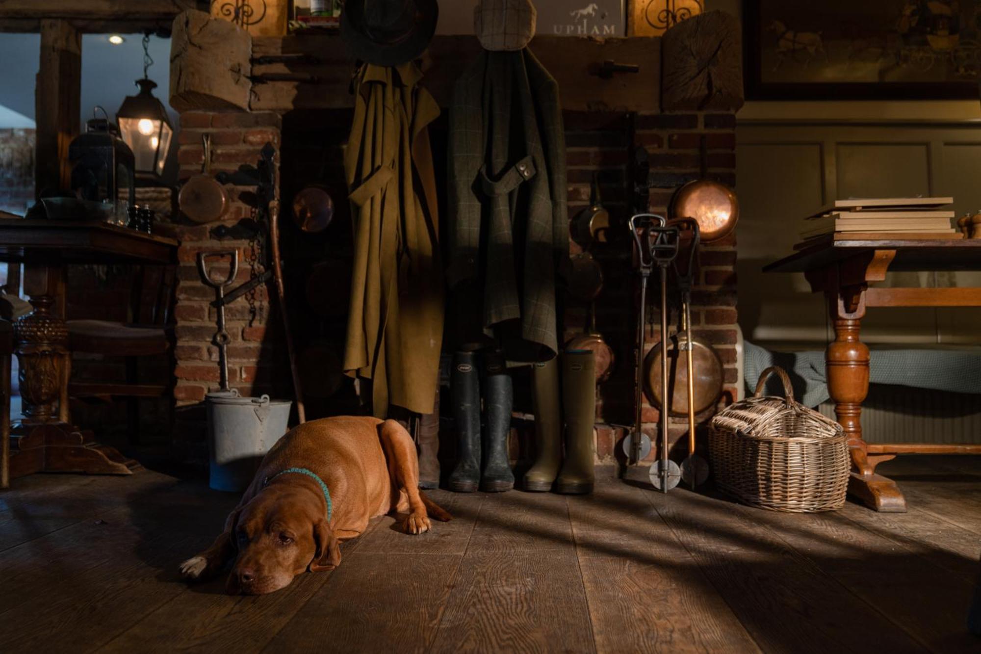 The Thomas Lord 호텔 West Meon 외부 사진